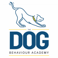 The Dog Behaviour Academy