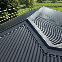 Roofing Repairs Hamilton