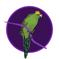 Little Parrots - Early Learning Centre