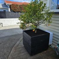 Neighbours Garden Planters