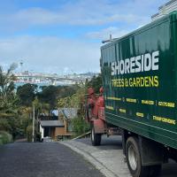 Shoreside Trees & Gardens Ltd