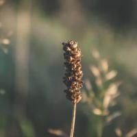 Fibre Optic Solutions  - Technology & IT Support Services