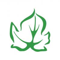 Pansy Boys Home & Garden