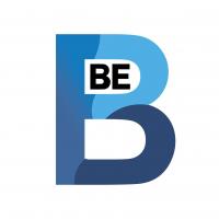 Blenheim Electronics