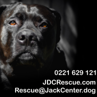 Jack Dog Center, trading as JDC Rescue