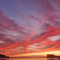 Sapphire Decorating Limited