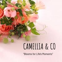 Camellia & Co