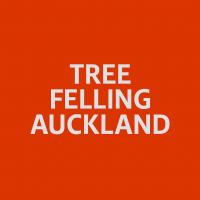Tree Felling Auckland