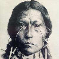 Native Impressions Art