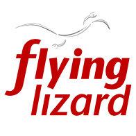 Flying Lizard  Brand Strategy