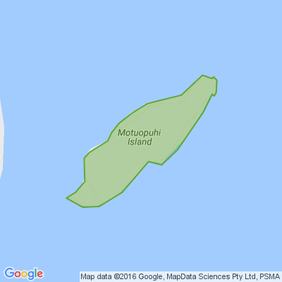 Motuopuhi Island (Rat Island)