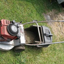 Masport 600 2025 4 stroke mower