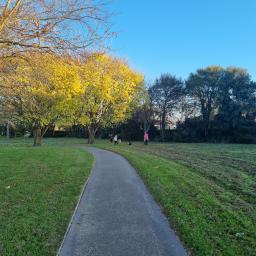 My local Bright Spot... Neighbourly Broomfield Hei Hei, Christchurch