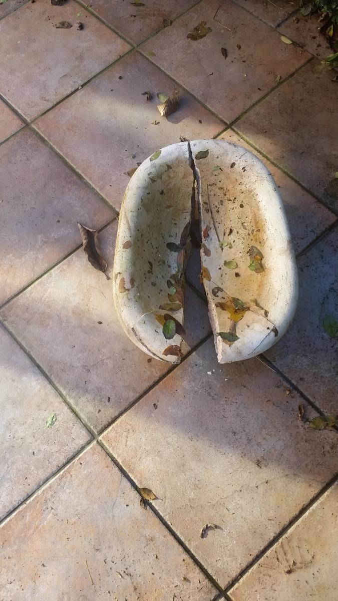 Bird bath Neighbourly Redwood, Christchurch