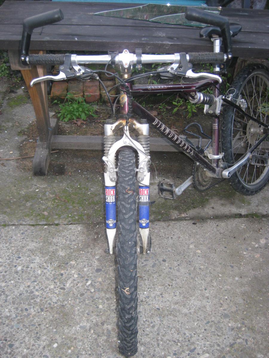 Mountain Bike - Neighbourly Motueka, Motueka