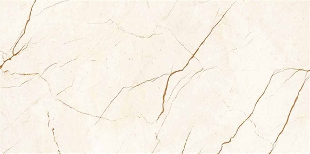 600x1200 Porcelain Tiles for 26+gst Neighbourly Rosedale, Auckland