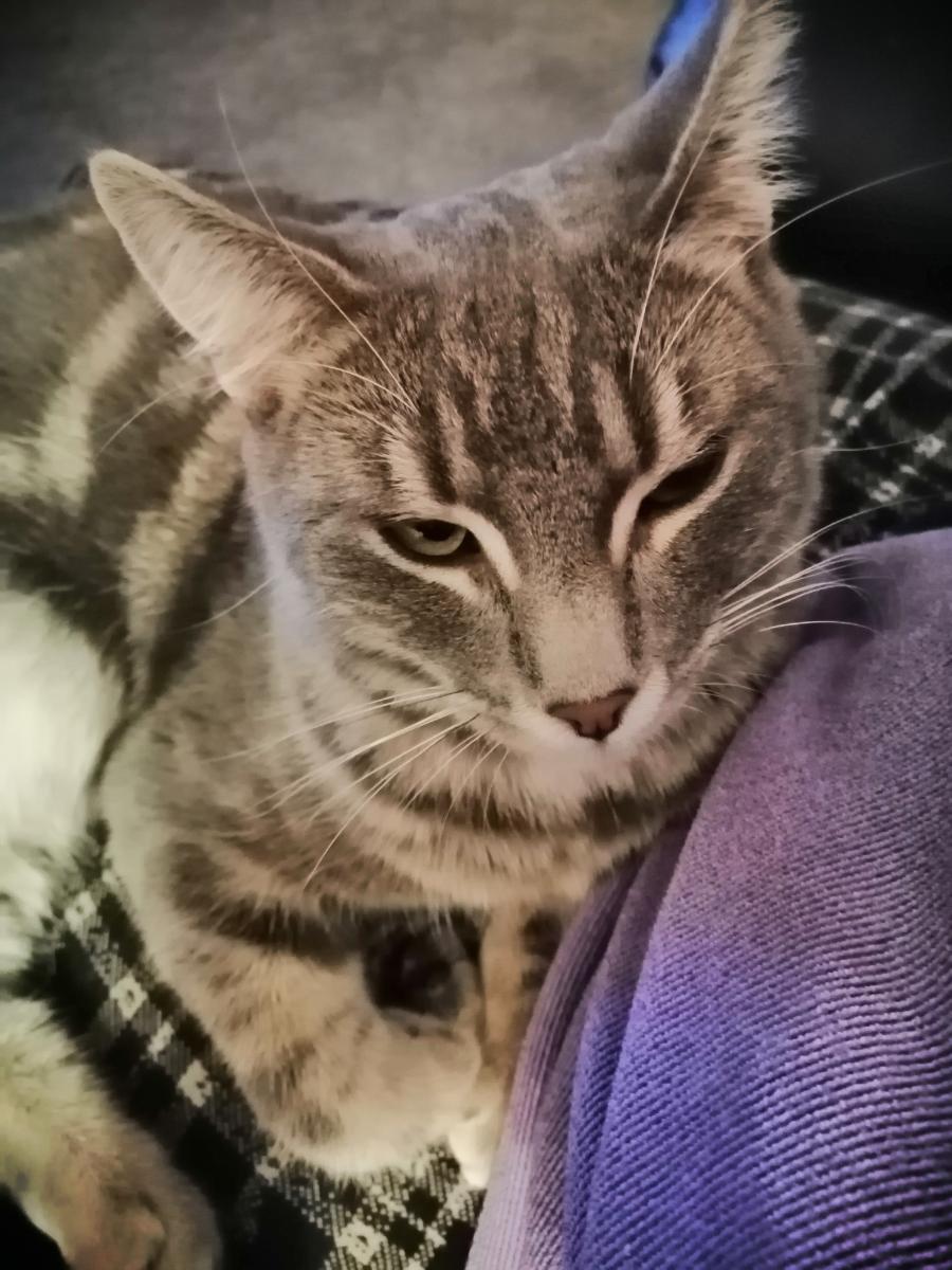 OUR LOVELY RELISH CAFE IS CLOSING! Neighbourly Waikanae, Waikanae