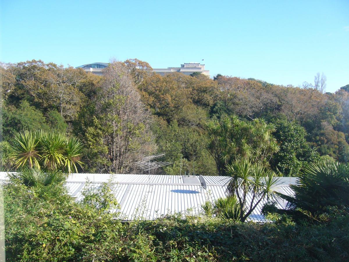 Parnell 2 bedroom semifurnished apartment with carport for rent