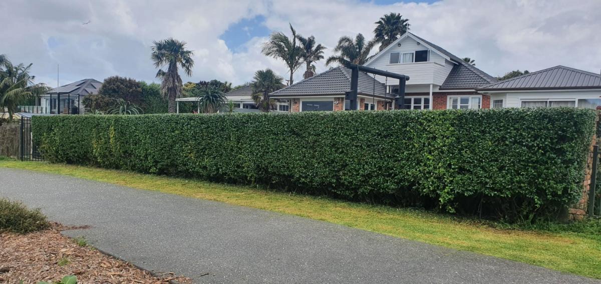 Hedge Trimming and Gardening Work Neighbourly Glendowie, Auckland