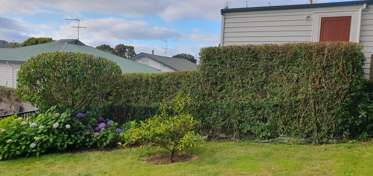 Hedge Trimming and Gardening Work Neighbourly Glendowie, Auckland